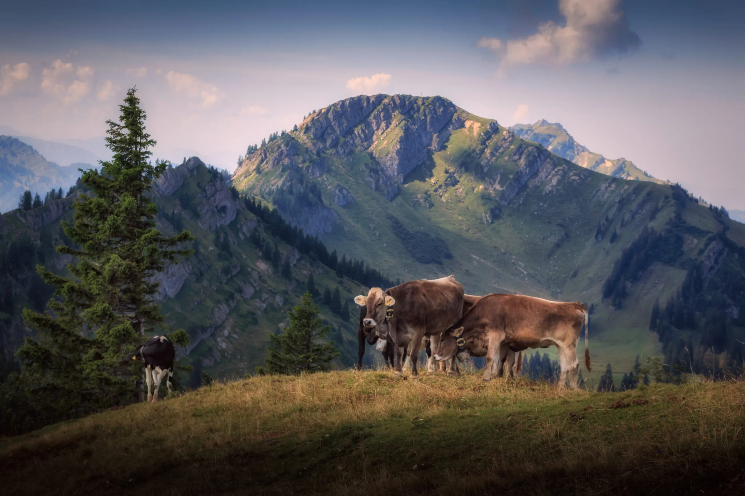 Allgäu: Top Sehenswürdigkeiten & Ausflugsziele (auch mit Kindern)